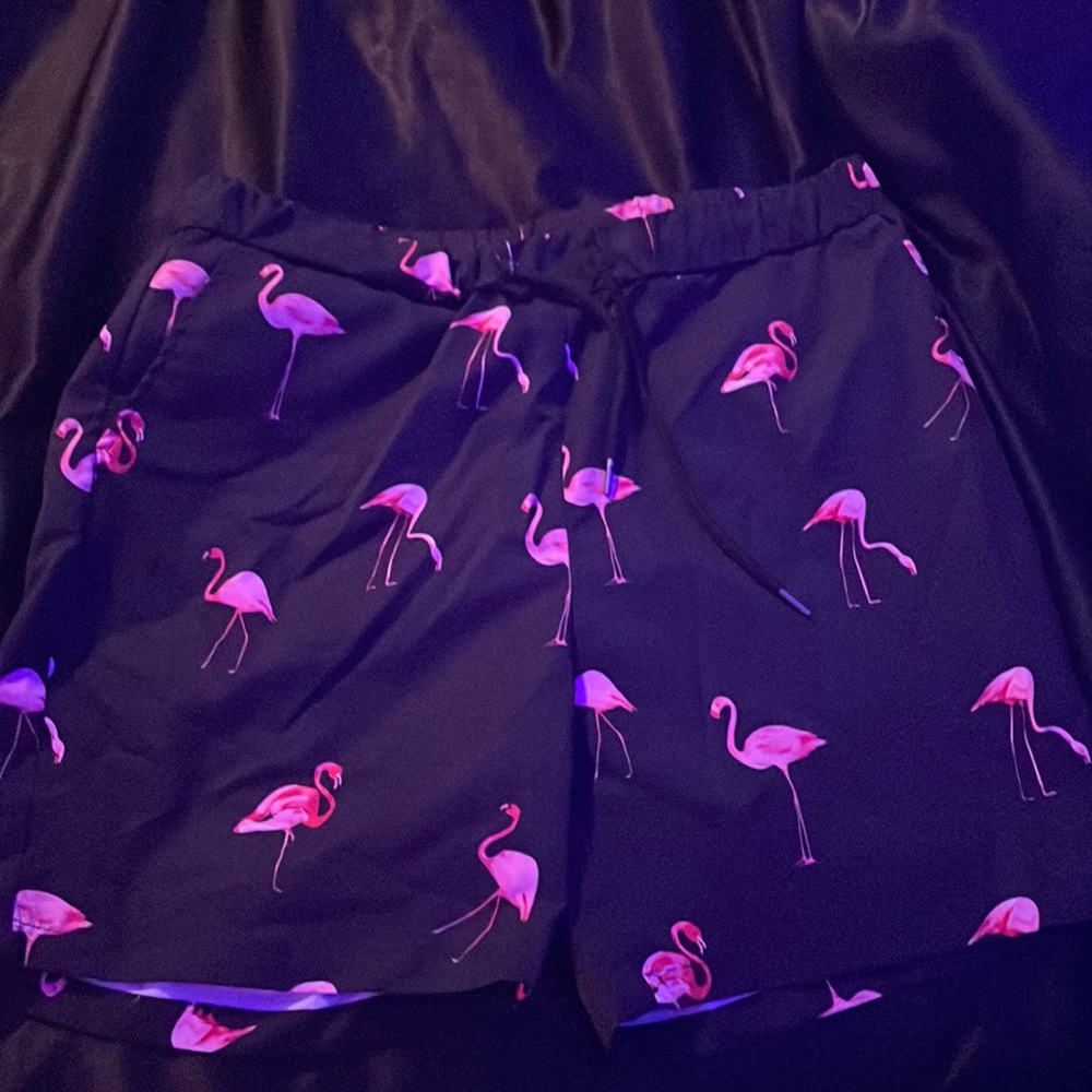 Large swim shorts